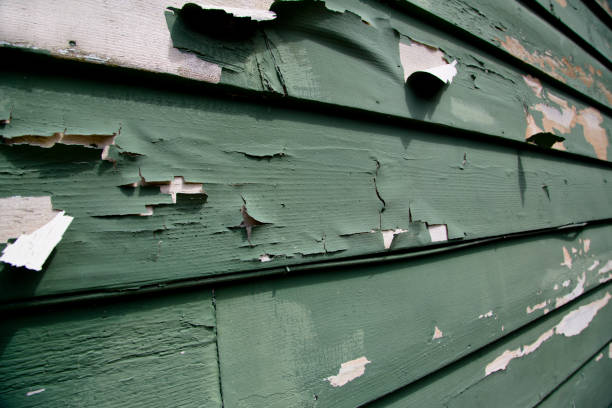 Best Electronics and E-Waste Disposal  in Langhorne, PA