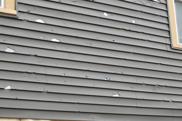 Best Shed Removal  in Langhorne, PA