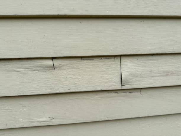 Best Construction Debris Removal  in Langhorne, PA